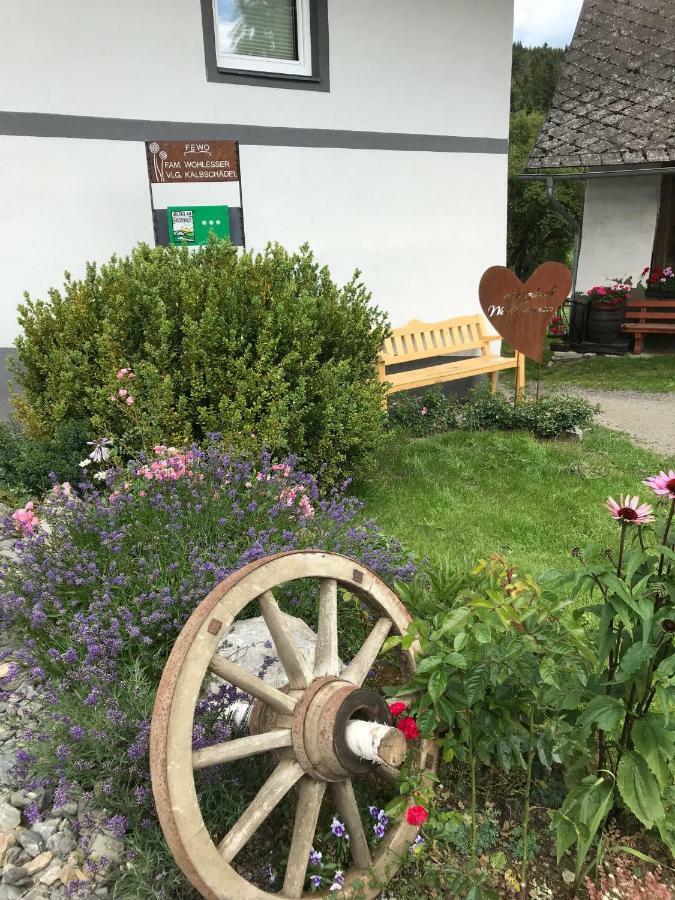 Apartment Wohlesser Neumarkt in Steiermark المظهر الخارجي الصورة